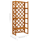 vidaXL Regal-Rankgitter Orange 60x30x140 cm Massivholz Tanne