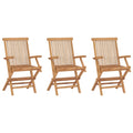 vidaXL Klappbare Gartenstühle 3 Stk. Massivholz Teak