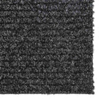 vidaXL Schmutzfänger 100x300 cm Anthrazit