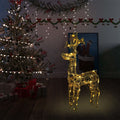 vidaXL LED-Rentier Weihnachtsdeko 90 LEDs 60x16x100 cm Acryl