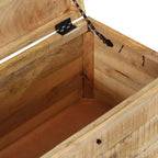 vidaXL Truhe Massivholz Mango