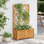 vidaXL Garten-Hochbeet mit Spalier Massivholz Akazie