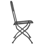 vidaXL Klappbare Gartenstühle 2 Stk. Streckgitter Anthrazit