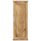 vidaXL Garderoben 2 Stk. Massivholz Mango 38x100 cm