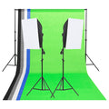 vidaXL Fotostudio-Beleuchtung-Set mit Hintergründen und Softboxen
