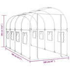 vidaXL Gewächshaus Transparent 160x400x190 cm PVC & Stahl