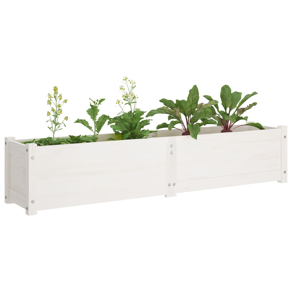 vidaXL Garten-Hochbeete 2 Stk. Weiß 150x31x31 cm Massivholz Kiefer