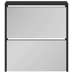 vidaXL Schuhschrank mit Spiegel 2 Fächer Schwarz 63x17x67 cm