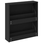vidaXL Schuhschrank mit Spiegel 2 Fächer Schwarz 63x17x67 cm