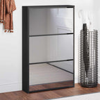 vidaXL Schuhschrank mit Spiegel 3-lagig Schwarz 63x17x102,5 cm