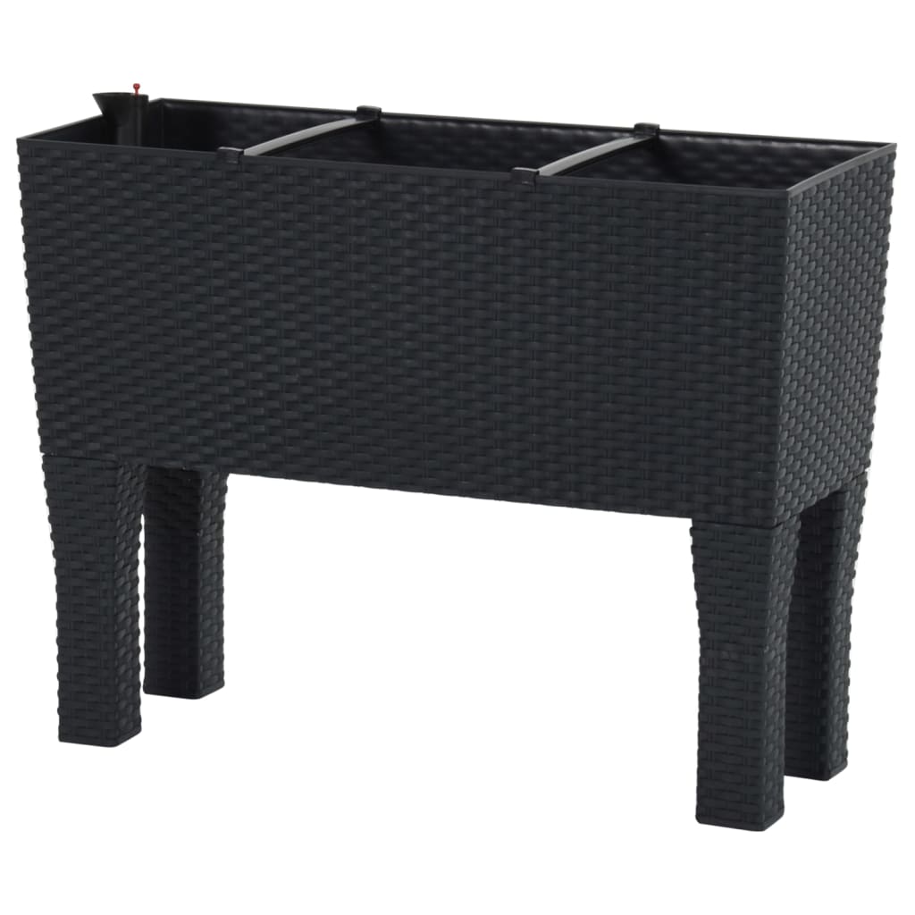 vidaXL Hochbeet Anthrazit 60x25x46 cm PP-Rattan