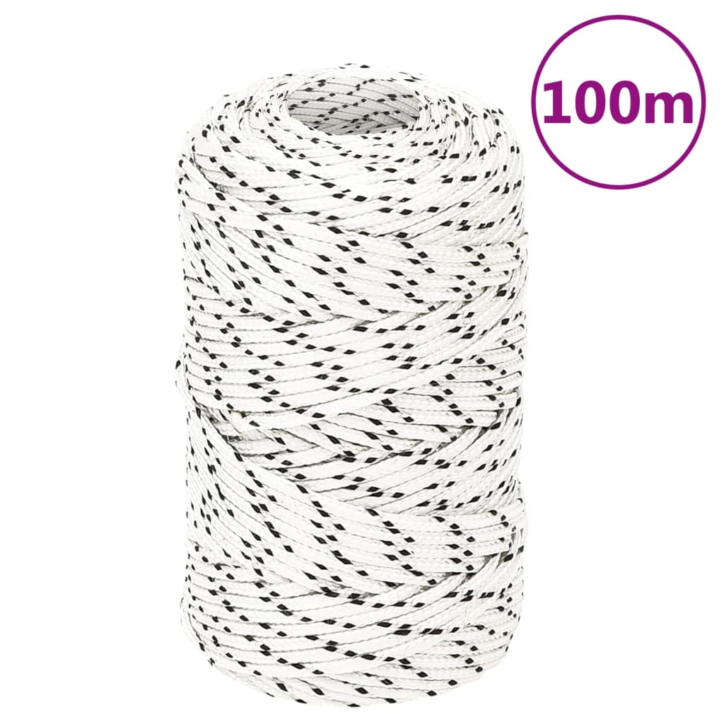 vidaXL Bootsseil Geflochten Weiß 2 mmx100 m Polyester