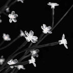 vidaXL LED-Baum mit Kirschblüten Warmweiß 672 LEDs 400 cm