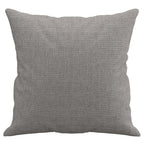 vidaXL Zierkissen 2 Stk. Hellgrau 40x40 cm Stoff