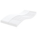 vidaXL Schaumstoffmatratzen 2 Stk. 80x200 cm 7-Zonen Härtegrad 20 ILD