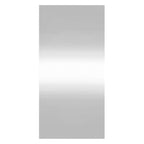 vidaXL Wandspiegel 30x60 cm Glas Rechteckig