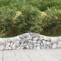 vidaXL Gabionen mit Hochbogen 2 Stk. 200x30x40/60 cm Verzinktes Eisen