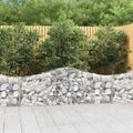 vidaXL Gabionen mit Hochbogen 30 Stk. 200x30x40/60 cm Verzinktes Eisen