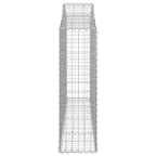 vidaXL Gabionen mit Hochbogen 40Stk. 200x30x100/120cm Verzinktes Eisen