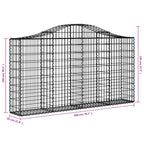 vidaXL Gabionen mit Hochbogen 40Stk. 200x30x100/120cm Verzinktes Eisen
