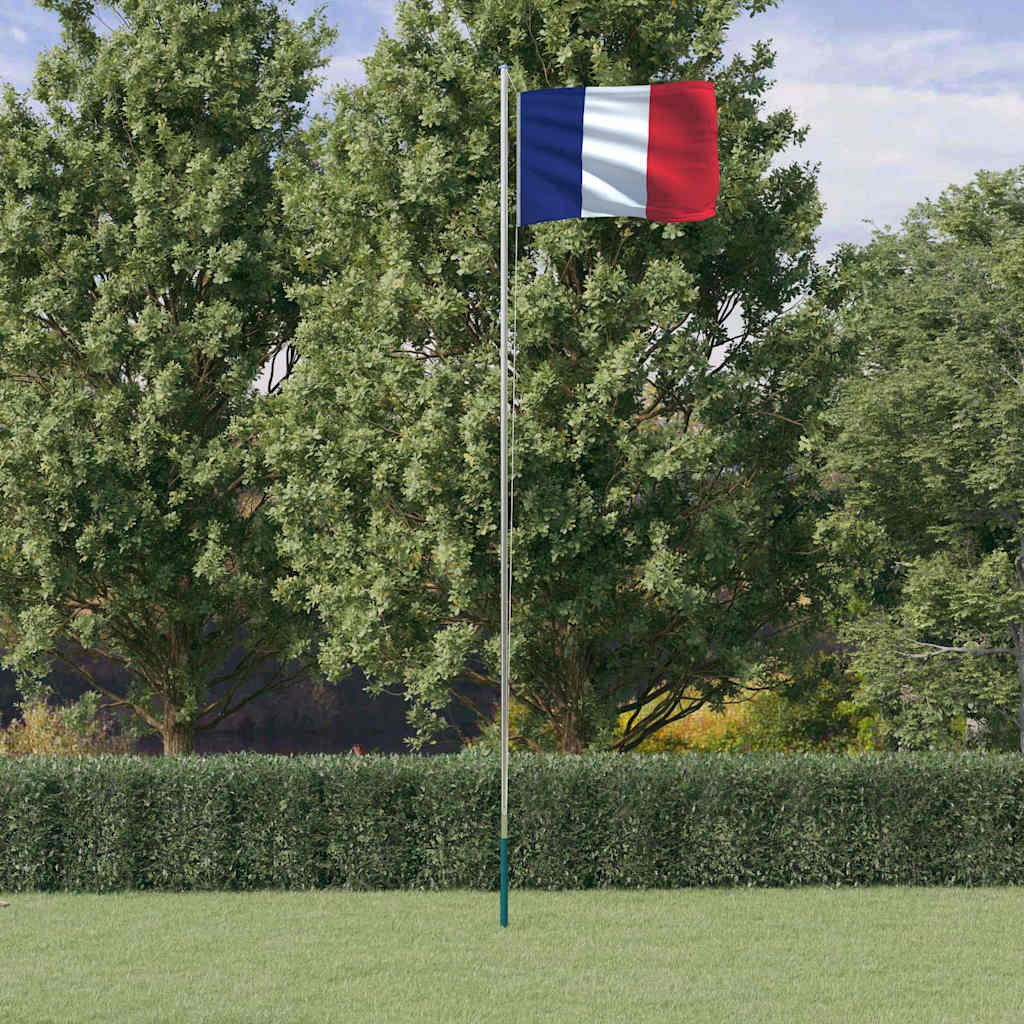 vidaXL Französische Flagge mit Mast 6,08 m Aluminium
