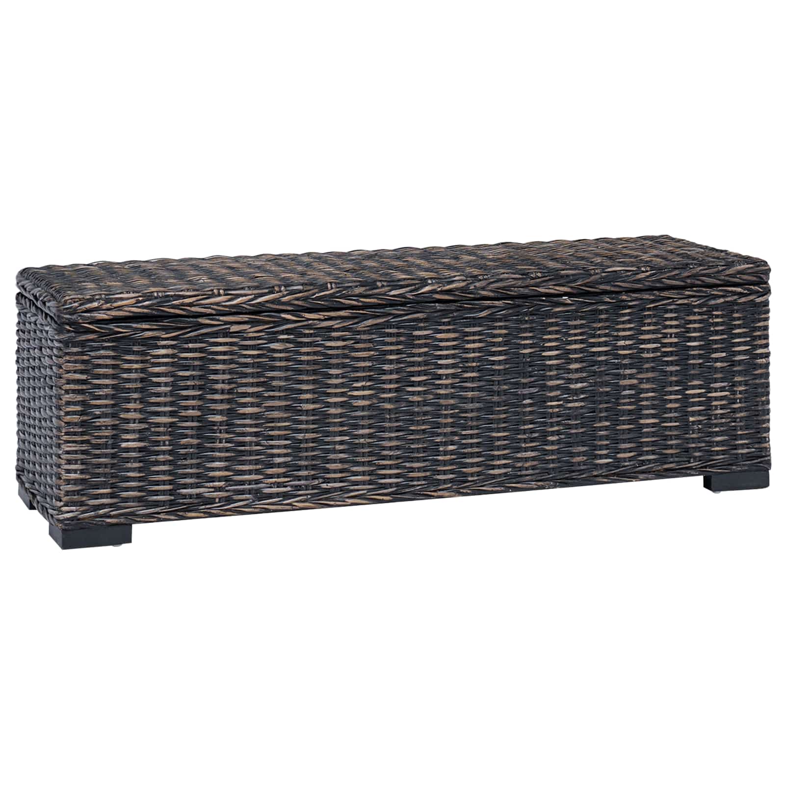 vidaXL Aufbewahrungsbox mit Speicher Schwarz 110 x 35 x 45 cm