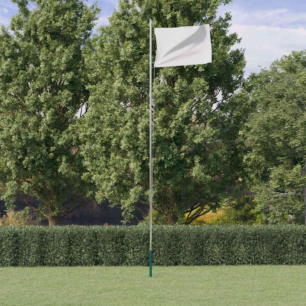 vidaXL Fahnenmast Teilbar Silbern 6,08 m Aluminium
