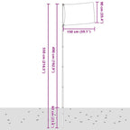 vidaXL Teleskop-Fahnenmast Silbern 5,5 m Aluminium