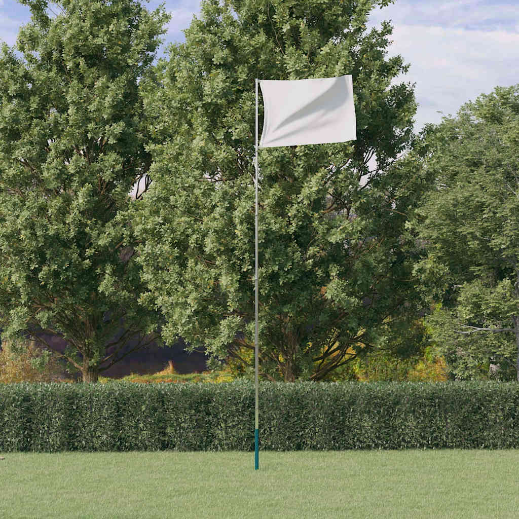 vidaXL Teleskop-Fahnenmast Silbern 5,5 m Aluminium