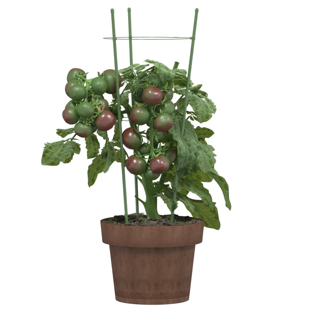 vidaXL Pflanzenstützen mit 3 Ringen 5 Stk. Grün 45 cm Stahl