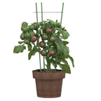 vidaXL Pflanzenstützen mit 3 Ringen 5 Stk. Grün 45 cm Stahl