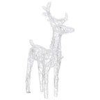 vidaXL LED-Rentiere 6 Stk. Kaltweiß 240 LEDs Acryl