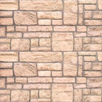 vidaXL Wandpaneele 10 pcs Beige 100 x 50 cm EPS-Schaum