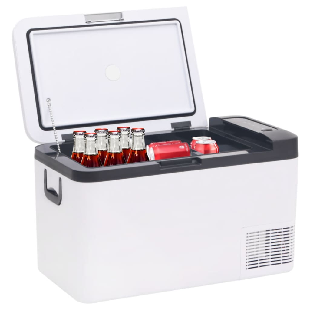 vidaXL Kühlbox mit Tragegriff Schwarz und Weiß 18L PP & PE