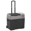 vidaXL Kühlbox mit Rollen und Griff Schwarz & Grau 30 L Polypropylen