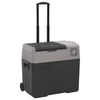 vidaXL Kühlbox mit Rollen und Griff Schwarz & Grau 30 L Polypropylen