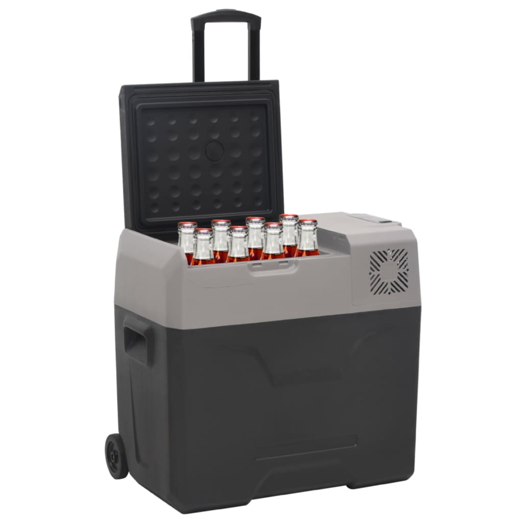 vidaXL Kühlbox mit Rollen und Griff Schwarz & Grau 30 L Polypropylen