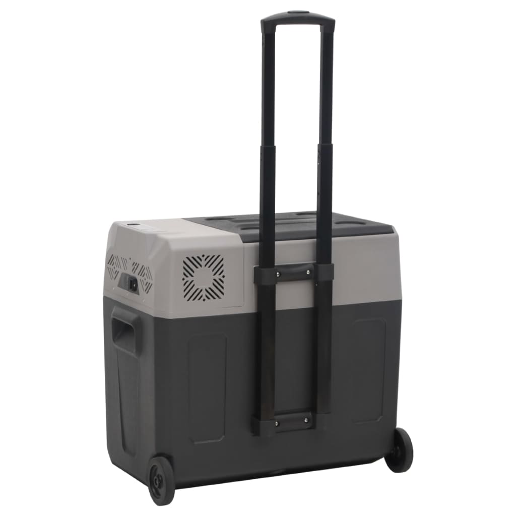 vidaXL Kühlbox mit Rollen und Griff Schwarz & Grau 30 L Polypropylen
