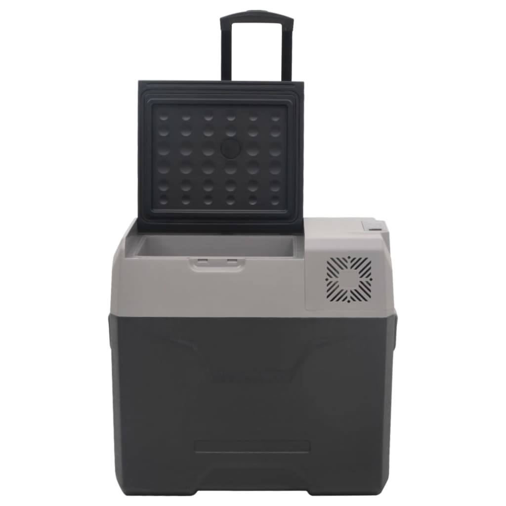 vidaXL Kühlbox mit Rollen und Griff Schwarz & Grau 30 L Polypropylen