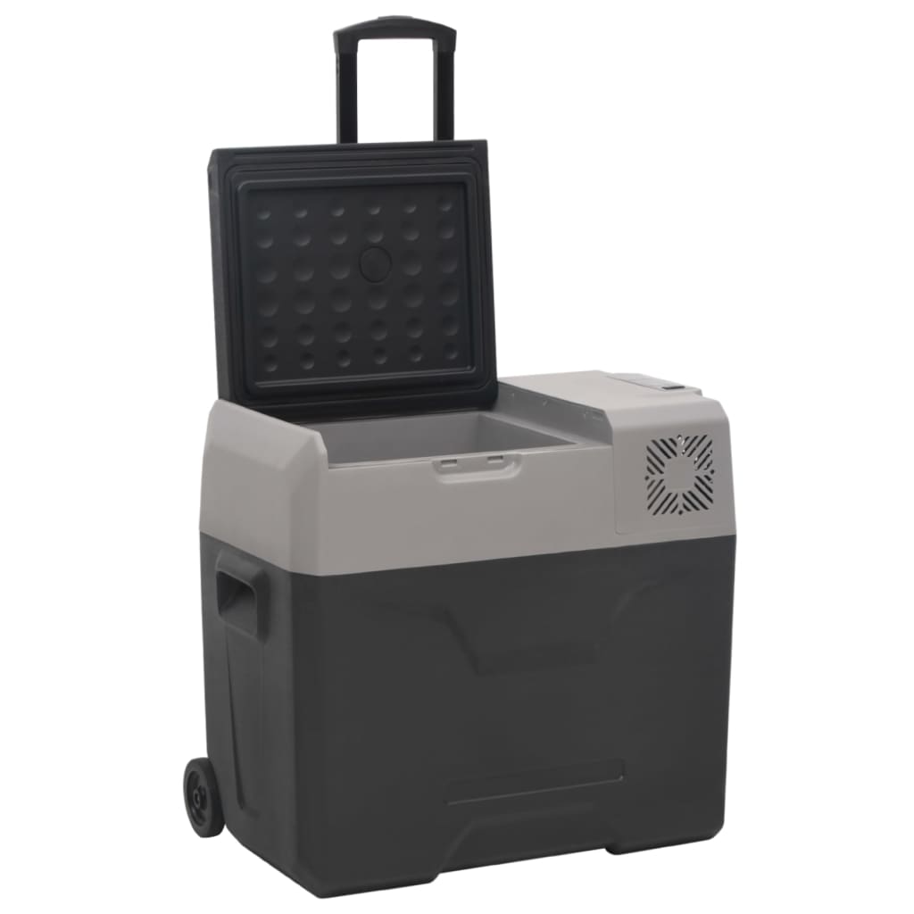 vidaXL Kühlbox mit Rollen und Adapter Schwarz & Grau 30 L Polypropylen