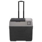 vidaXL Kühlbox mit Rollen und Adapter Schwarz & Grau 30 L Polypropylen