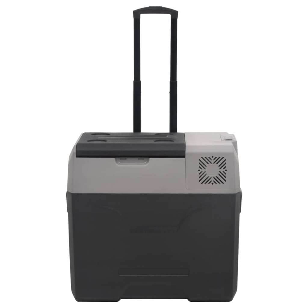 vidaXL Kühlbox mit Rollen und Adapter Schwarz & Grau 30 L Polypropylen