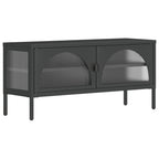 vidaXL TV-Schrank Schwarz 105x35x50 cm Glas und Stahl