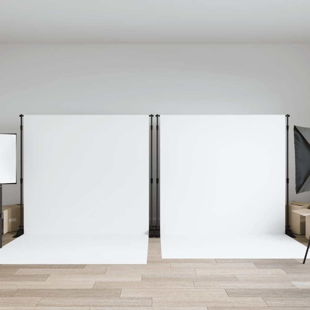 vidaXL Hintergrundstative 2 Stk. Schwarz 254x243 cm Stahl