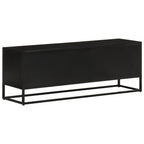 vidaXL TV-Schrank 110x30x40 cm Massivholz Mango und Eisen