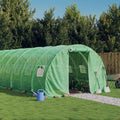 vidaXL Gewächshaus mit Stahlrahmen Grün 30 m² 10x3x2 m