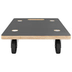 vidaXL Transportroller 2 Stk. Rechteckig 50x35x11,5 cm 250 kg
