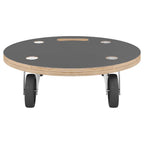 vidaXL Transportroller 2 Stk. Rund Ø38x11,5 cm 250 kg