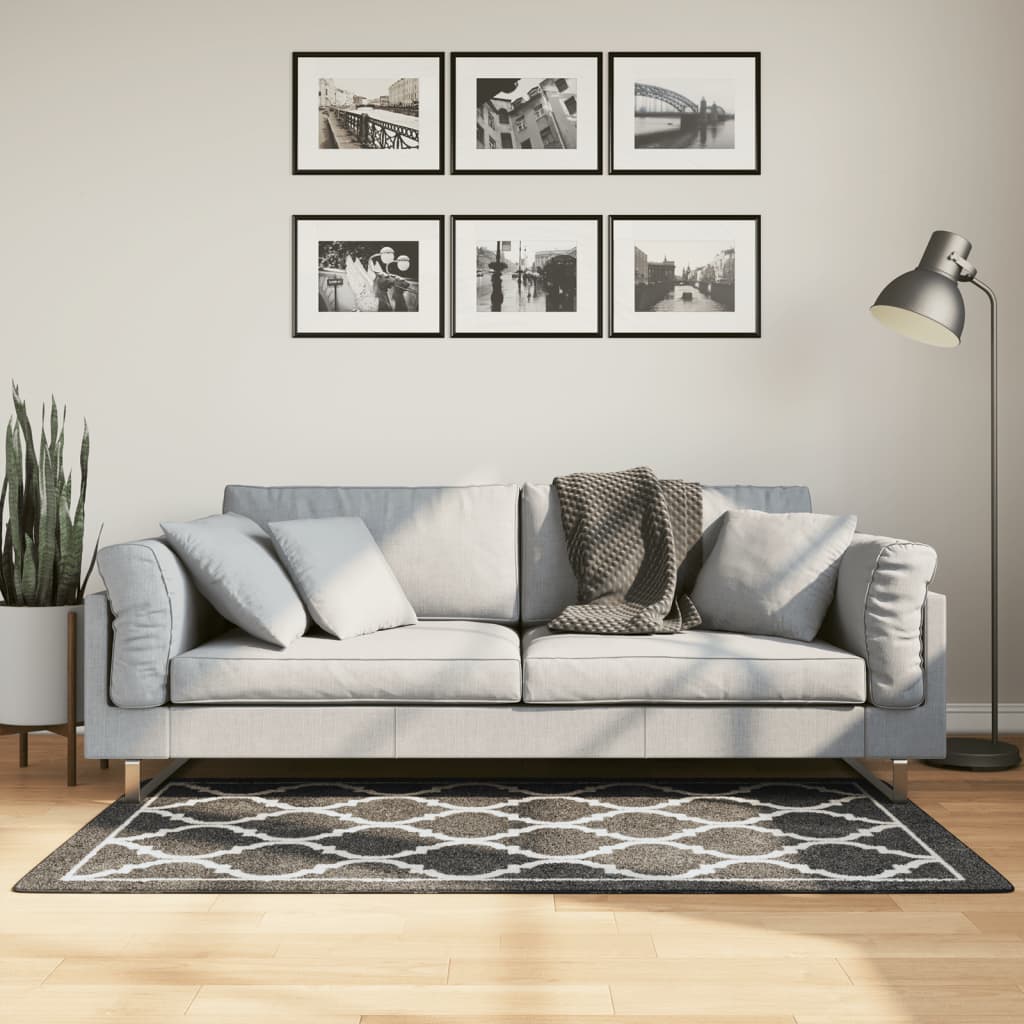 vidaXL Teppich Waschbar Schwarz und Weiß 80x150 cm