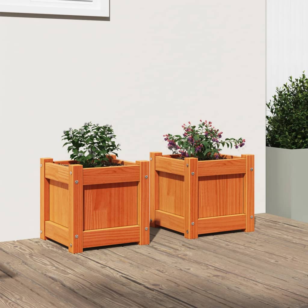 vidaXL Pflanzkübel 2 Stk. Wachsbraun Massivholz Kiefer